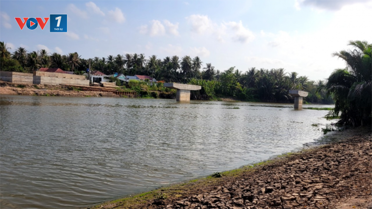 Hàng trăm héc ta hoa màu ở Tiền Giang có nguy cơ mất mùa do khô hạn (20/03/2024)