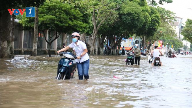 THỜI SỰ 12H TRƯA 11/3/2024: Cao điểm triều cường nước mặn tại Tiền Giang, đỉnh triều ở mức cao khiến các khu vực bị ngập nước có nguy cơ bị thiệt hại nặng