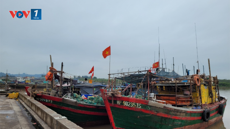 Hải Phòng - Chống đánh bắt bất hợp pháp, từ nhận thức đến hành động (03+04/04/2024)