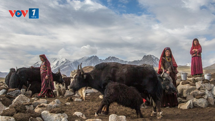 Cuộc sống độc đáo của những người phụ nữ Wakhi tại vùng núi cao ở Pakistan (28/2/2024)