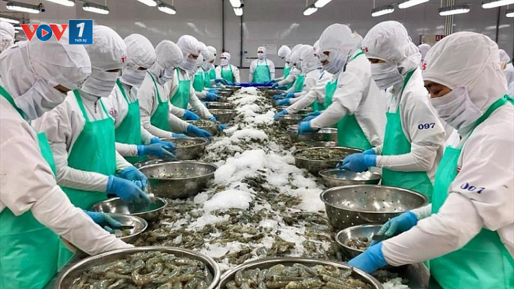 THỜI SỰ 12H TRƯA 01/4/2024: Ngành tôm Việt Nam bứt phá trong quý 1 năm nay khi mức tiêu thụ tại các thị trường lớn tăng cao