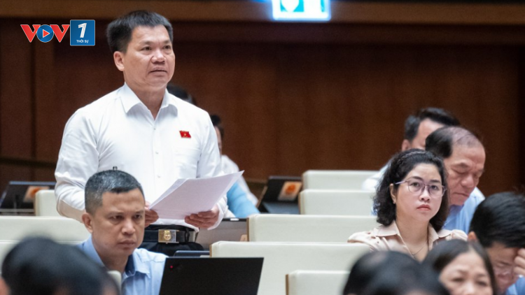 THỜI SỰ 12H TRƯA 21/05/2024: Luật Đường bộ, các đại biểu Quốc hội đề nghị siết chặt việc kinh doanh vận tải hành khách