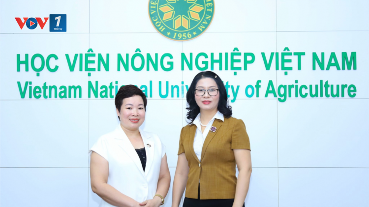 Xây dựng nguồn nhân lực nông nghiệp chất lượng cao (21/05/2024)