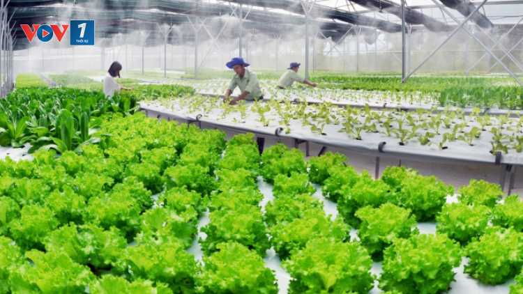 Công nghệ, chìa khóa giúp gia tăng giá trị nông sản (20/05/2024)