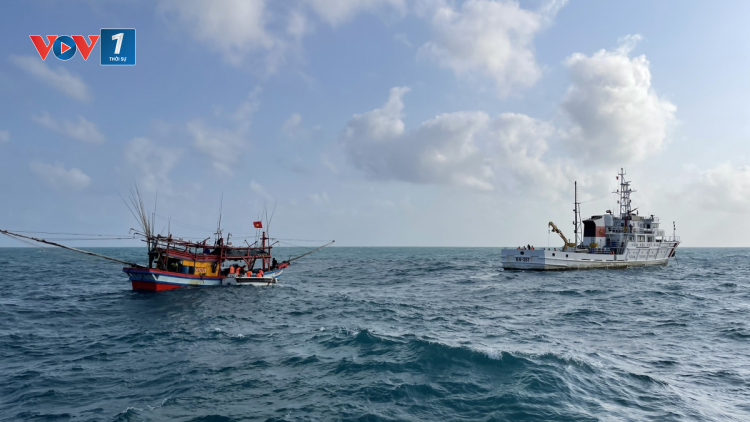 Tăng cường chống khai thác IUU ở vùng biển giáp ranh ( 24/04/2024)