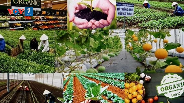 THỜI SỰ 18H CHIỀU 28/5/2024: Hai Bộ Công Thương và Nông nghiệp Phát triển Nông thôn họp bàn tháo gỡ khó khăn về việc sản xuất, xuất khẩu gạo và rau quả