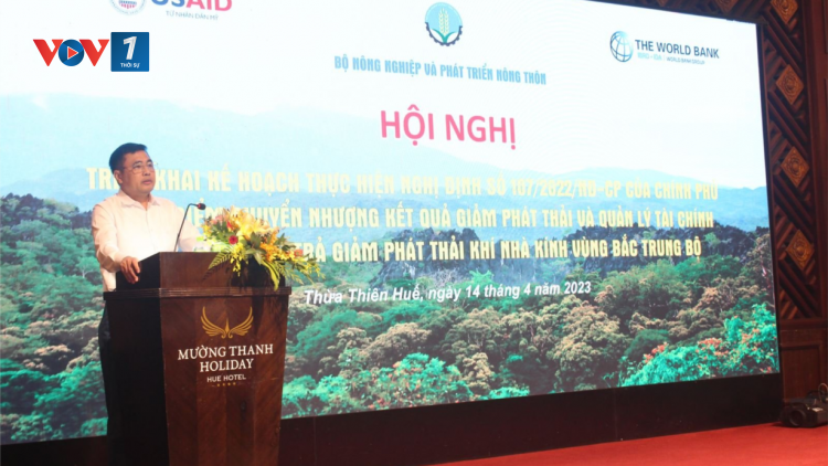 Tín chỉ các - bon rừng tiềm năng và lợi ích (14/05/2024)