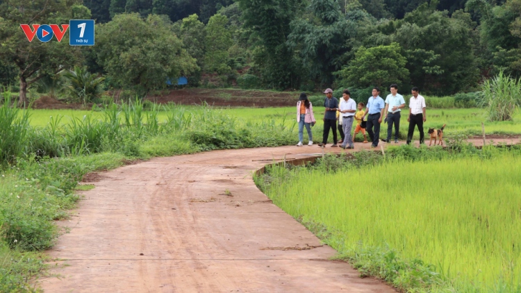 THỜI SỰ 18H CHIỀU 19/06/2024: Gia Lai vận động hàng nghìn người dân hiến đất để thực hiện các dự án giao thông