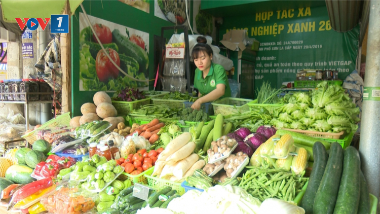 Nông dân tiêu thụ nông sản ổn định nhờ liên kết sản xuất (10/06/2024)