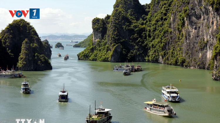 THỜI SỰ 12H TRƯA 17/6/2024: Sở Giao thông Vận tải Quảng Ninh vào cuộc xác minh làm rõ việc tàu du lịch “bỏ rơi” khách trên vịnh Hạ Long