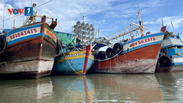 Chống khai thác IUU, vẫn còn tàu cá mất kết nối (10+11/07/2024)