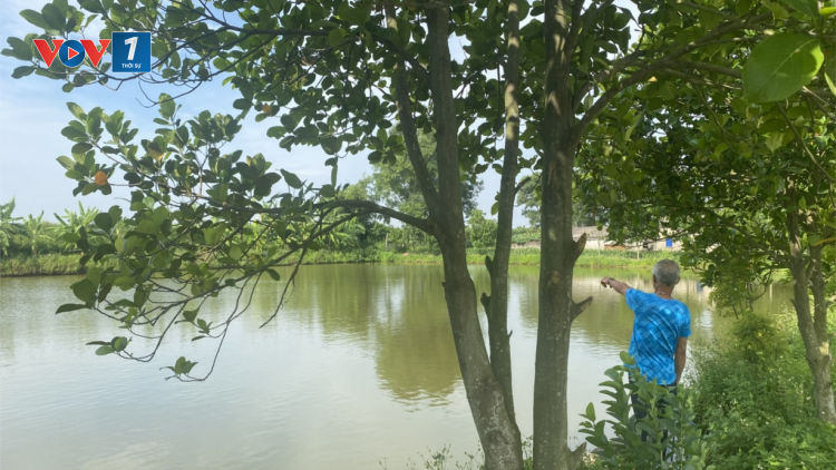 Nam Định: Chỉ thị 40 - Điểm tựa vững chắc cho người nghèo (08/07/2024)