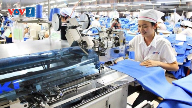 Đề xuất quy định giờ làm việc, lương đủ sống để nâng cao chất lượng dân số (19/08/2024)