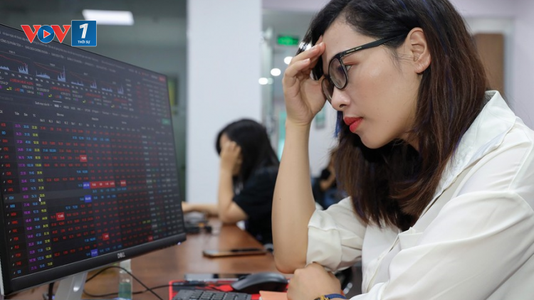 Sẽ có thêm hàng hóa có chất lượng cho thị trường chứng khoán từ thoái vốn, cổ phần hóa trong thời gian tới (15/8/2024)