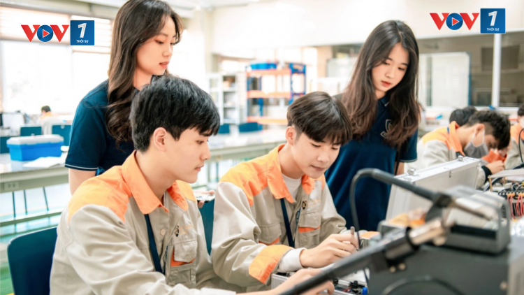 THỜI SỰ 6H SÁNG 04/8/2024: Người có đất bị thu hồi được hưởng chính sách giải quyết việc làm và đào tạo nghề hoặc vay vốn lãi suất thấp