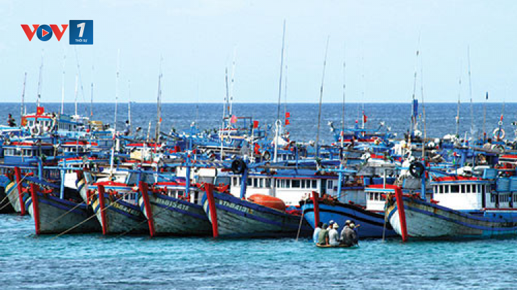 Nghiệp đoàn nghề cá 10 năm là bà đỡ của ngư dân (21/08/2024)