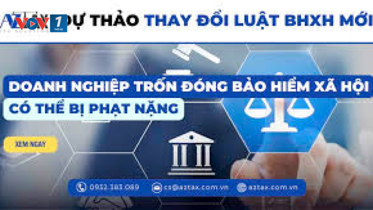 Thiết lập chế tài xử lý hành vi trốn đóng, chậm đóng Bảo hiểm xã hội (30/08/2024)