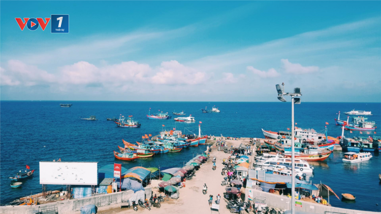 Phát triển kinh tế biển xanh và bền vững (26/08/2024)