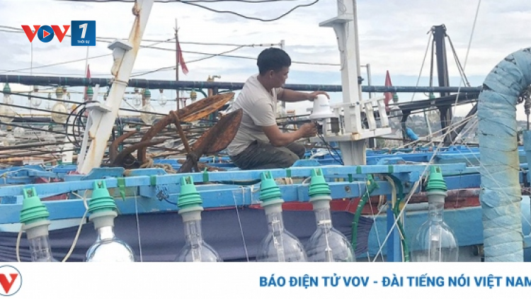 Hải Phòng: Đẩy mạnh chống khai thác IUU, góp phần phát triển thủy sản bền vững (17/09/2024)