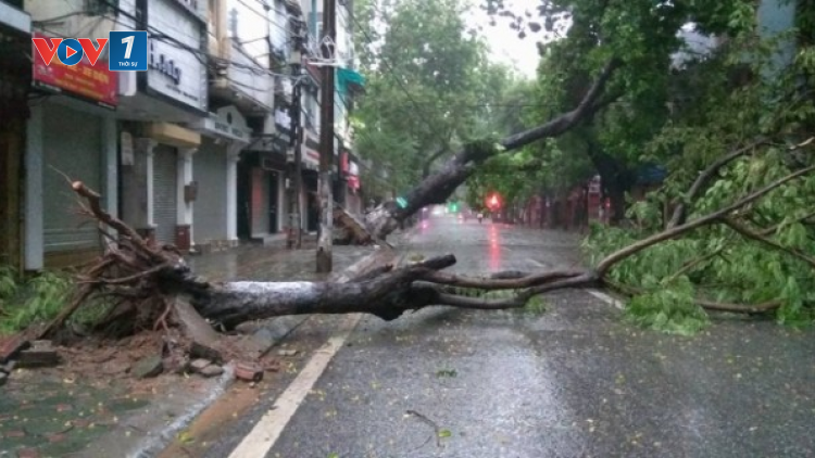 THỜI SỰ 21H30 ĐÊM 6/9/2024: Siêu bão số 3 tên quốc tế là Yagi sẽ vào Vịnh Bắc Bộ đêm nay.