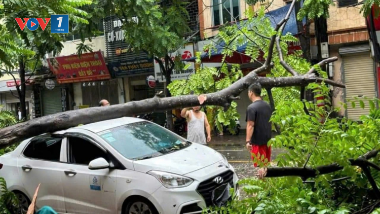 Ô tô, xe máy bị hư hỏng, thiệt hại do bão, lũ có được bồi thường bảo hiểm? (13/9/2024)