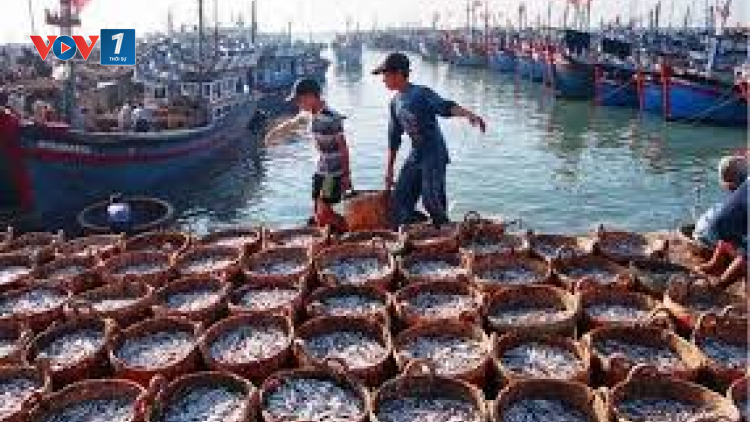 Nâng cao hiệu quả phòng chống khai thác IUU (09/09/2024)