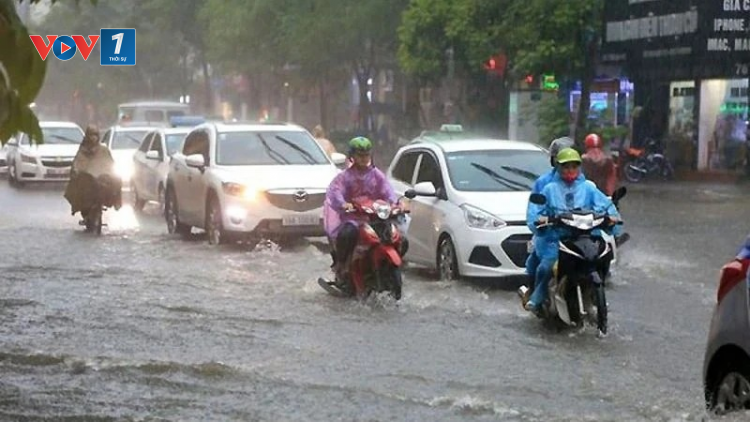 THỜI SỰ 21H30 ĐÊM 20/9/2024: Khu vực Bắc bộ chủ động ứng phó với vùng áp thấp và mưa lớn trong những ngày tới