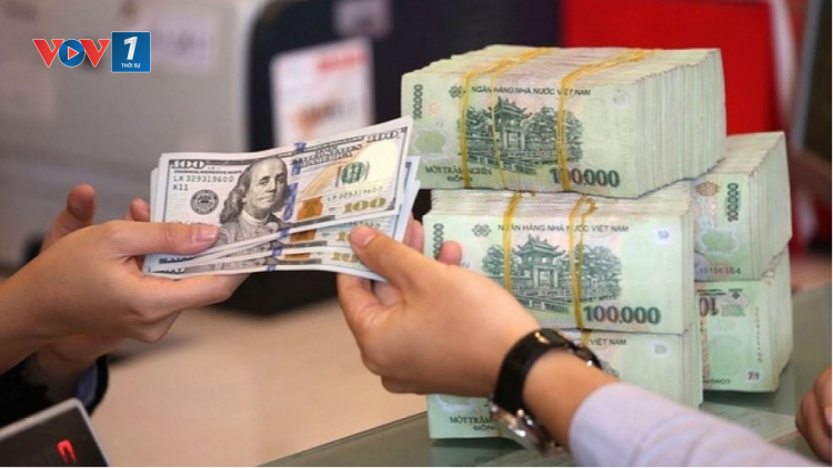 Tỷ giá USD tăng hơn 5% trong năm 2024 (8/1/2025)