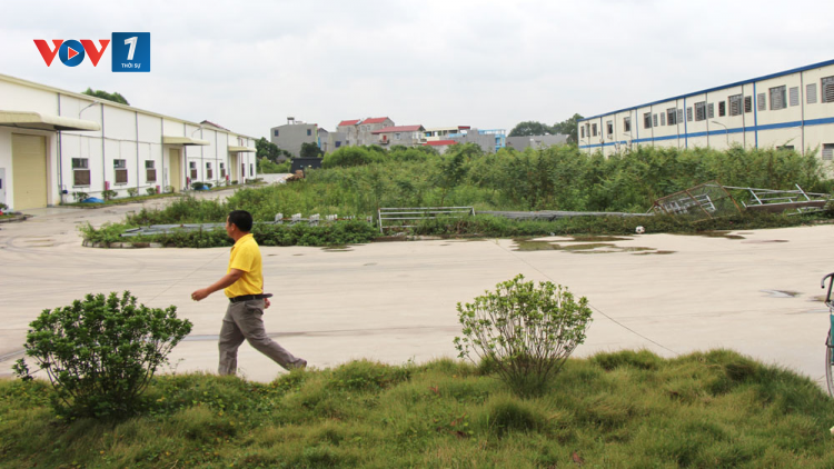 Phỏng vấn ông Phí Thanh Bình, Phó giám đốc Sở Tài nguyên và Môi trường tỉnh Bắc Giang về xử lý các dự án chậm tiến độ (14/01/2025)