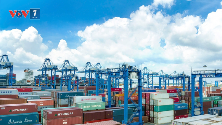 Tàu container ghé nhiều, cảng Bà Rịa – Vũng Tàu khởi sắc (15/1/2024)