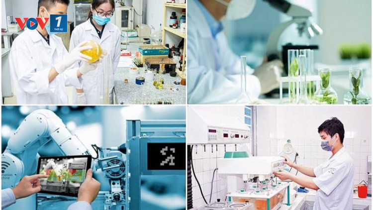 THỜI SỰ 6H SÁNG 03/1/2025: Các doanh nghiệp lĩnh vực bán dẫn và trí tuệ nhân tạo có thể được Quỹ Hỗ trợ đầu tư quốc gia hỗ trợ 50% chi phí đầu tư ban đầu