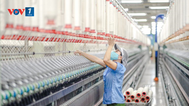 Xuất khẩu dệt may 2025: Thích ứng xu thế mới (07/01/2025)
