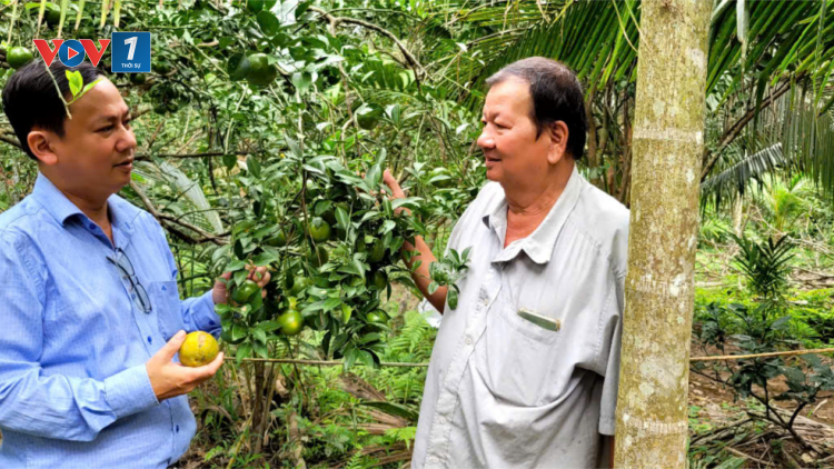 Chuyện về người nông dân tỷ phú ở xứ dừa với mô hình làm vườn “sạch” (05/1/2025)