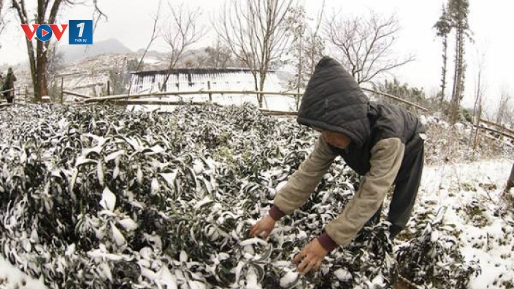 Biến đổi khí hậu và câu chuyện chủ động. (02/02/2016)