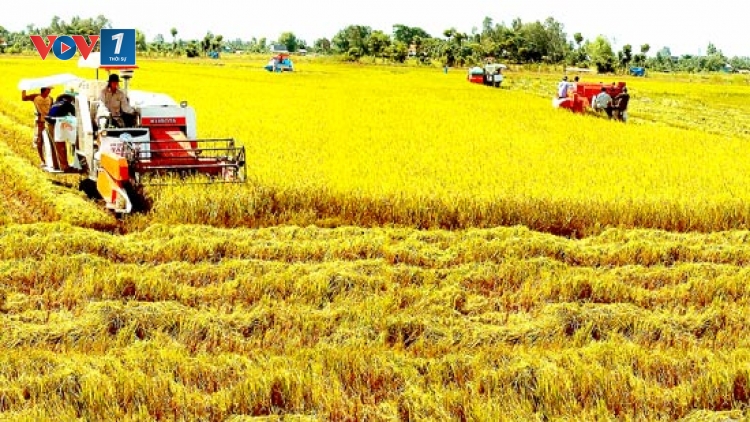 Nông nghiệp Đồng bằng sông Cửu Long: Liên kết để thành công và phát triển. (15/02/2016)
