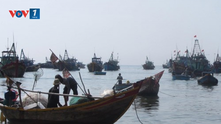 Biển đảo Việt Nam ngày 23/12/2014: "Giã cào bay - Xã hội đen trên biển" ở Bình Thuận.