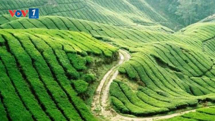 Kinh tế ngày 17/12/2014: Cơ hội đầu tư vào khu du lịch Mộc châu và Sơn La.