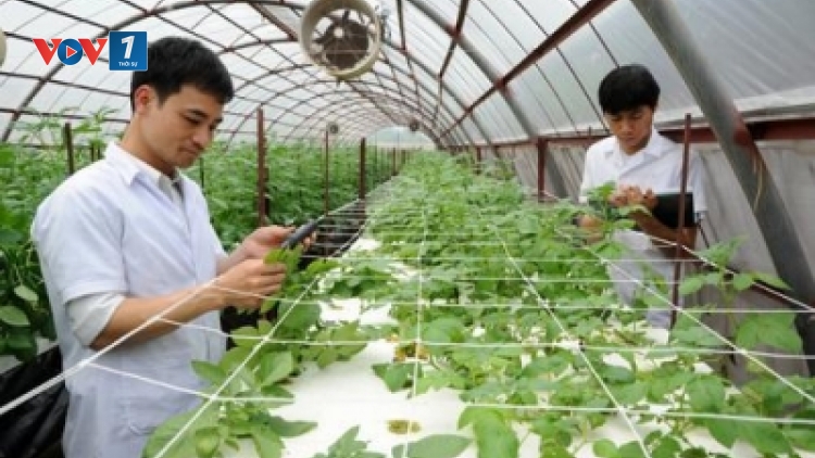 Diễn đàn kinh tế ngày 14/12/2014: Khoa học công nghệ trong nông nghiệp, góc nhìn từ nhà khoa học