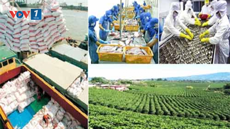 Lần đầu tiên sau 10 năm tăng trưởng chậm chạp, khối nông lâm nghiệp và thủy sản tăng trưởng âm do hạn hán và xâm nhập mặn. (Thời sự trưa 26/3/2016)