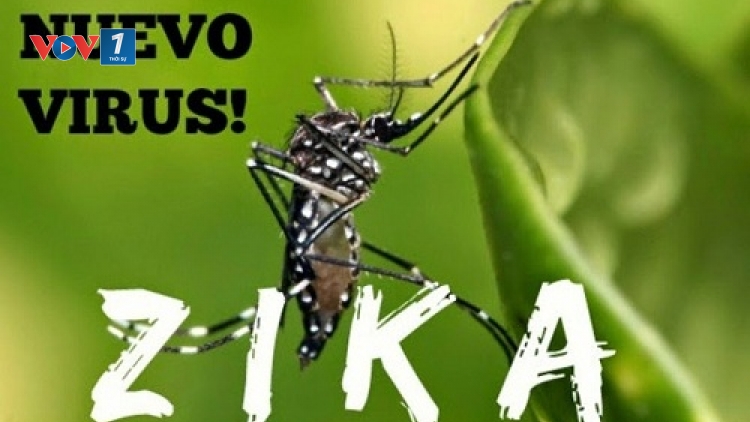 Bộ Y tế và tỉnh Khánh Hòa bác bỏ thông tin Khánh Hòa có 4 bệnh nhân dương tính với virus Zika. (Thời sự chiều 30/3/2016)