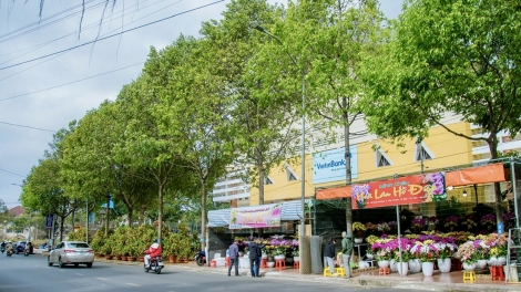 Đắk Lắk tăng cường đảm bảo trật tự và mỹ quan trong dịp Tết
