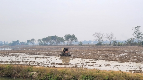 Hệ thống thủy lợi Bắc Hưng Hải đảm bảo tiến độ lấy nước đổ ải vụ Đông xuân trong