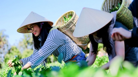 Theo dòng thời sự chiều 26/2/2025
