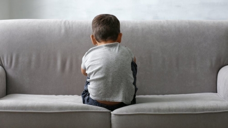 Nghiên cứu đột phá: Lợi khuẩn phô mai giúp giảm triệu chứng tự kỷ