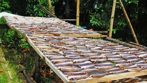 Đồng Tháp thu hồi giấy chứng nhận sản phẩm OCOP đối với 47 sản phẩm