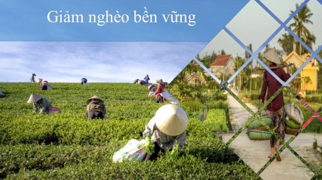 Xóa trắng hộ nghèo - kinh nghiệm của tp HCM và Quảng Ninh