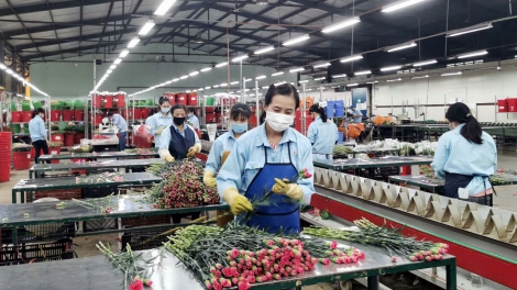 Lâm Đồng xây dựng thương hiệu để thúc đẩy sản xuất và xuất khẩu nông sản