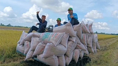 Làm gì để nông sản Việt tiếp tục tăng trưởng (20/02/2025)