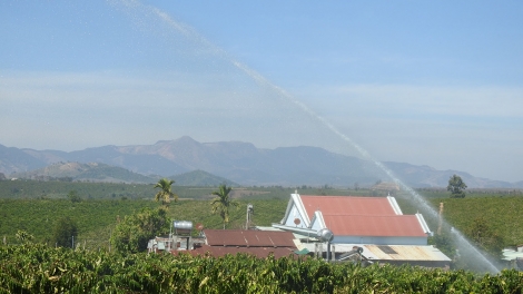 Nông dân Đăk Hà xuyên Tết tưới cà phê, khởi động niên vụ mới với kỳ vọng bội thu