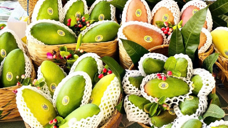 Theo dòng thời sự sáng 7/2/2025: Cấu trúc lại ngành hàng trái cây ĐBSCL- Nông dân, doanh nghiệp song